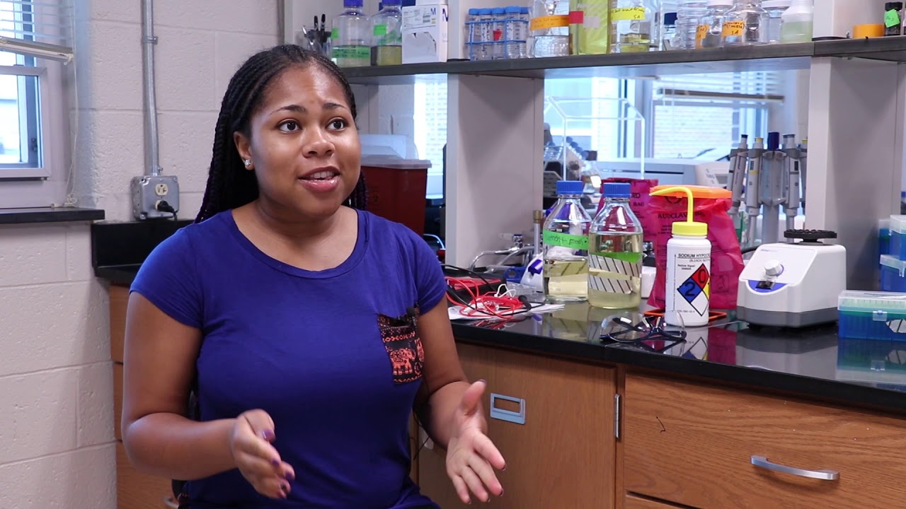 Experiential Learning in the College of Arts and Sciences: The Dean's Summer Fellowship at the University of Dayton