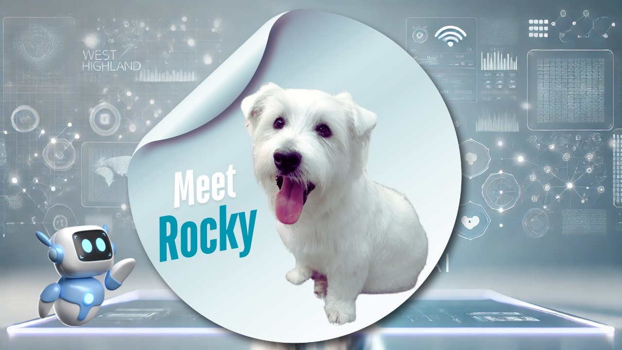 Meet Rocky, the Heart and Soul of ROCK SEO