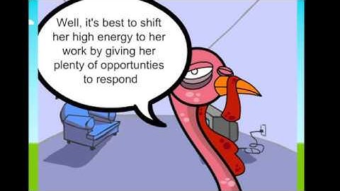 Behavioural strategies