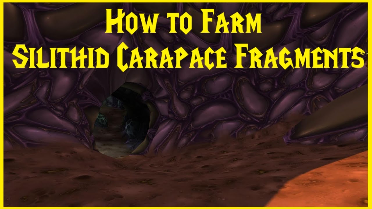 Classic WoW: How to Farm Silithid Carapace Fragments