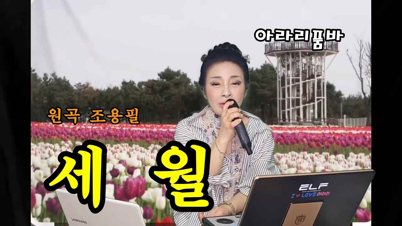 아라리품바 - 세월(원곡 조용필)