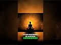 Quantum Biology: Consciousness, Reality, and Interconnectedness Explained