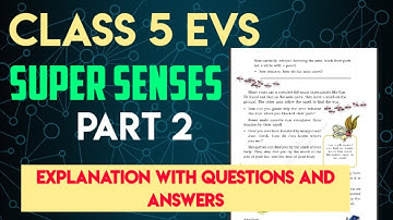 Super Senses /  class 5 EVS chapter 1 NCERT /  Super senses class 5 evs / Class 5 EVS NCERT / KVS