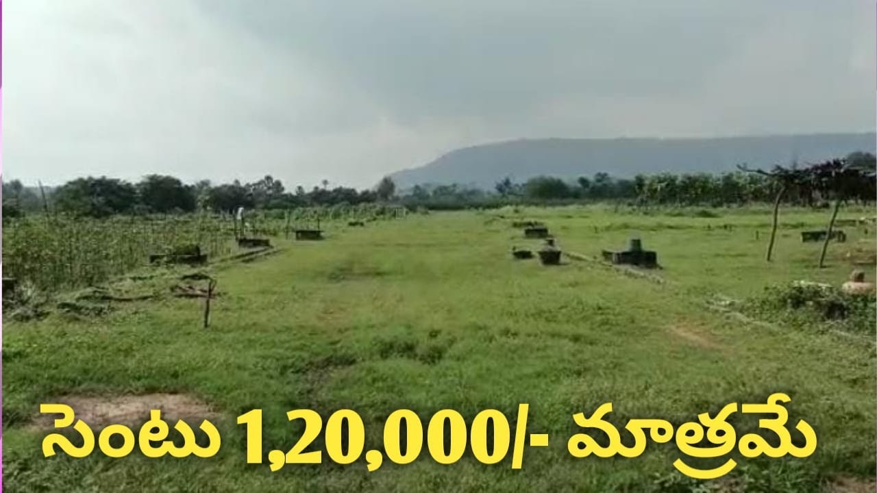 Best agricultural land for sale in vizag one acre 60cents land for