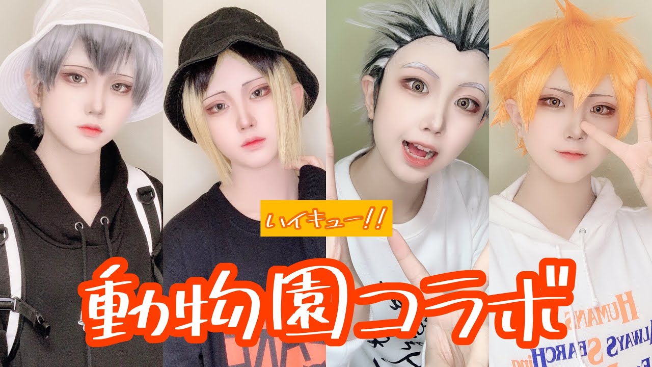 捏造物語 ハイキュー 動物園コラボまとめ Youtube