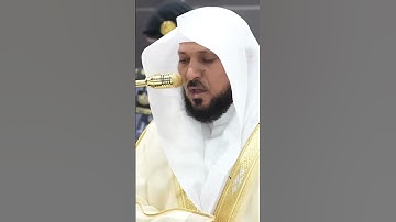 سورة الزمر | الشيخ #ماهر_المعيقلي