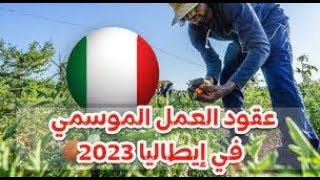 عقود عمل موسمية إيطاليا 2023 ????الله يسهل على الجميع️??