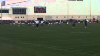 McCoy to Cribbs over the middle