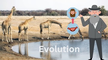 Theory of Evolution by Nature (3 Minutes)
