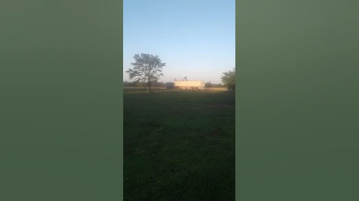 23 de noviembre de 2021