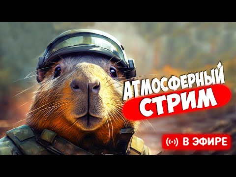 Видео: АТМОСФЕРНЫЙ СТРИМ С КАПИБАРДИ