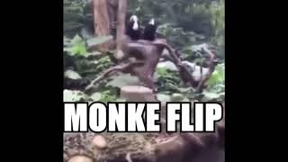 monke flip 2