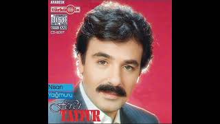 Ferdi Tayfur - Nisan Yağmuru (TÜRKÜOLA CD 1993) Resimi