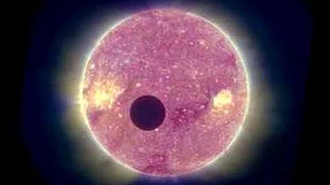 Lunar Transit from STEREO