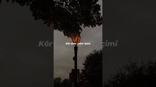 π΅ππ§ππ ππ π‘πππππ π π€ππ‘π€ππ€π§πππ π£π’πππ π‘ππ π Μ§ππ¦ππ ππ’Μπππ Μ§ πππππ π€ππ€...π€β¨... Resimi