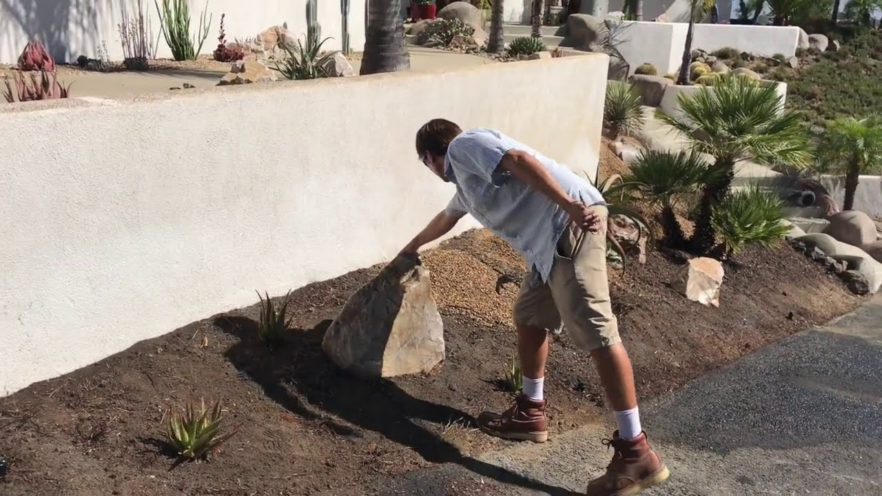 Суккулентный ландшафтный дизайн: почему вам действительно нужны камни