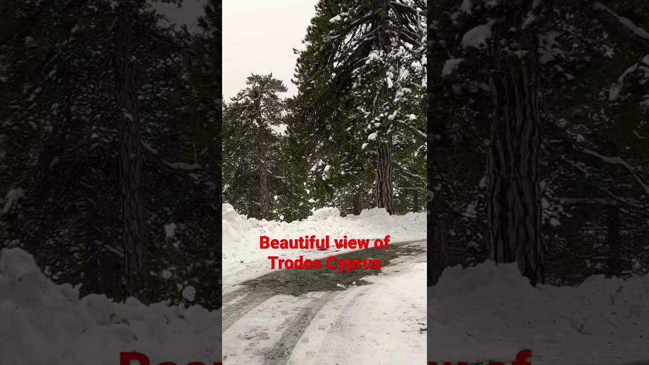 The mountain of Trodos Cyprus snow fall