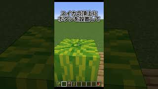 マイクラでスイカの断面の作り方を紹介します！【まいくら・マインクラフト】shorts