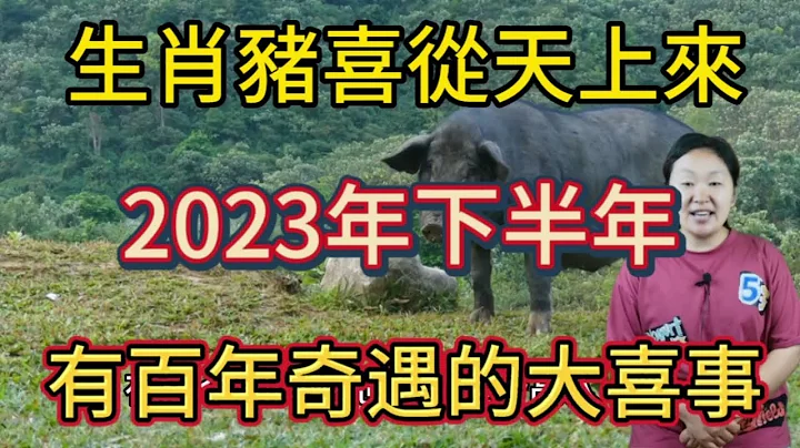 生肖豬！喜從天上來！2023年下半年！有百年奇遇的大喜事！屬豬人快來接大喜！ - 天天要聞