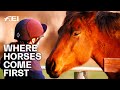 "Every horse is treated with respect, compassion and understanding" | World Horse Welfare | RIDE