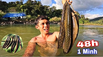 1 Mình Ngủ Qua Đêm Trong RỪNG | 48H Câu Cá Rừng Cắm Trại Tìm Thức Ăn