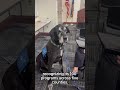 Courtroom Canines #shorts