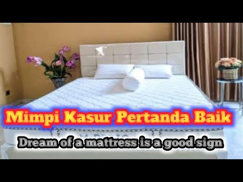 Video: Ketika Anda Membeli Buku Ini, Anjing Penampang Mendapat Tempat Tidur yang Hangat dan Nyaman