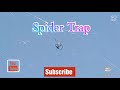 Spider Web