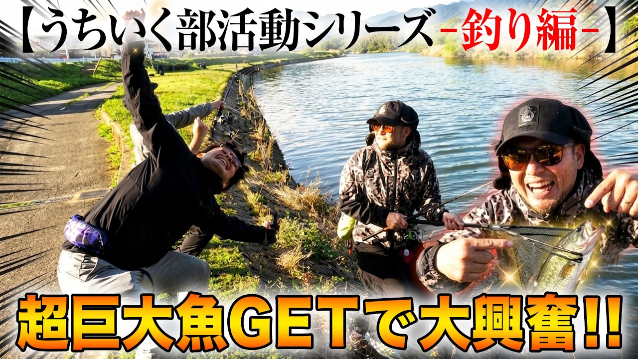A gigantic fish over 50cm was caught in the Muromi River