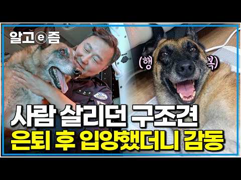 "I knew you could smile this brightly." What happens when a rescue dog that has lived through a c...