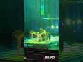 Halsey plays "I am Not a Woman, I'm a God" Live at White River Amphitheatre in Seattle on 6/28/25