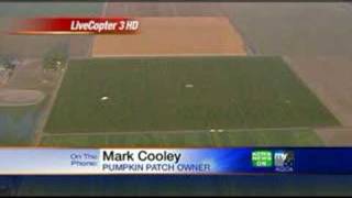 Giant Corn Maze Takes Shape In Dixon