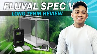 Fluval Spec V Tank IN-DEPTH Review