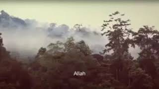 Nasyid - Sifat 20 Allah