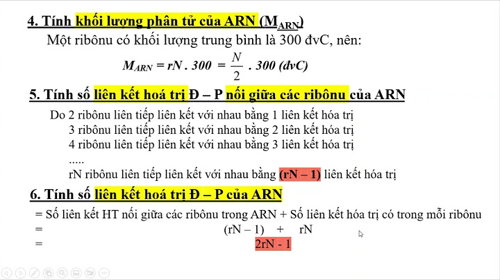 Bài tập về phân tử adn lớp 10 năm 2024