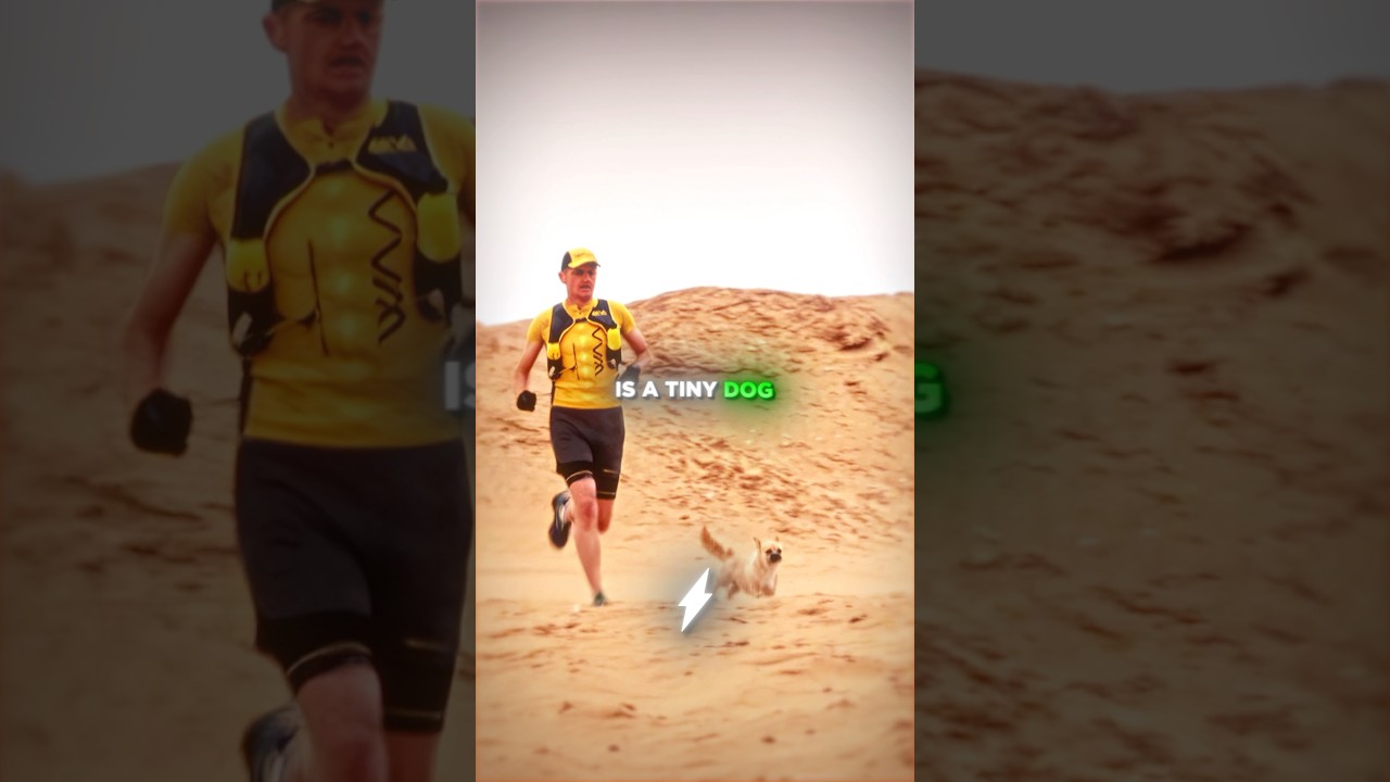 The Dog Wouldn’t Stop Chasing Him…😱🚨 — Transcript