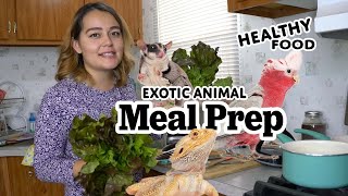 Meal Prep for 20+ Exotic Animals