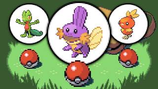 I Caught a Shiny Before Each Badge (Pokemon Emerald) Guide