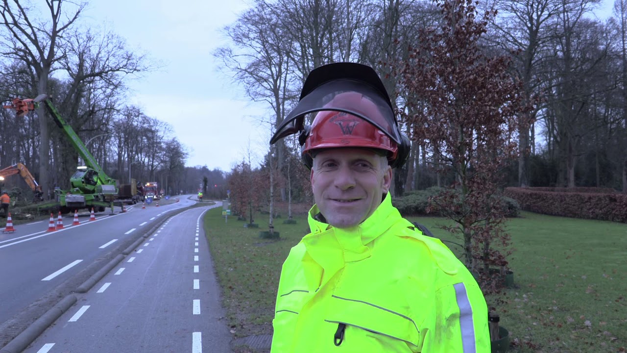 Van der Weerd Grafhorst BV - Bomen rooien Lonneker 23 01 2021