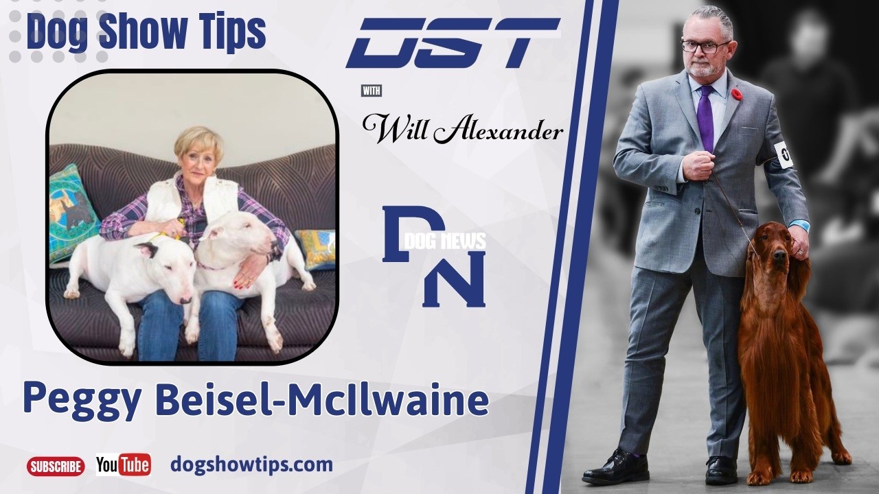 Dog Show Tips - Interviews
