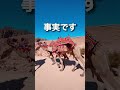 英語が話せなくても海外に行ける #shorts