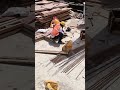 👷‍♂️Engineer ki nazar, workers ki mehnat-isi teamwork se banti hai har mazboot building.💪🏗️#SiteWork