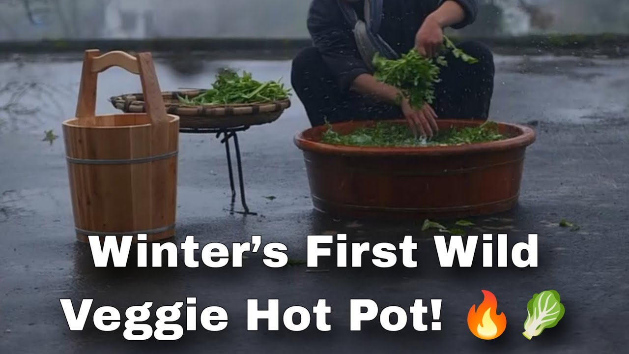 The First Hot Pot of Winter | Wild Vegetable Hot Pot in Rural China