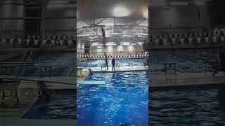 203B 1 Meter - Charlotte Martinkus