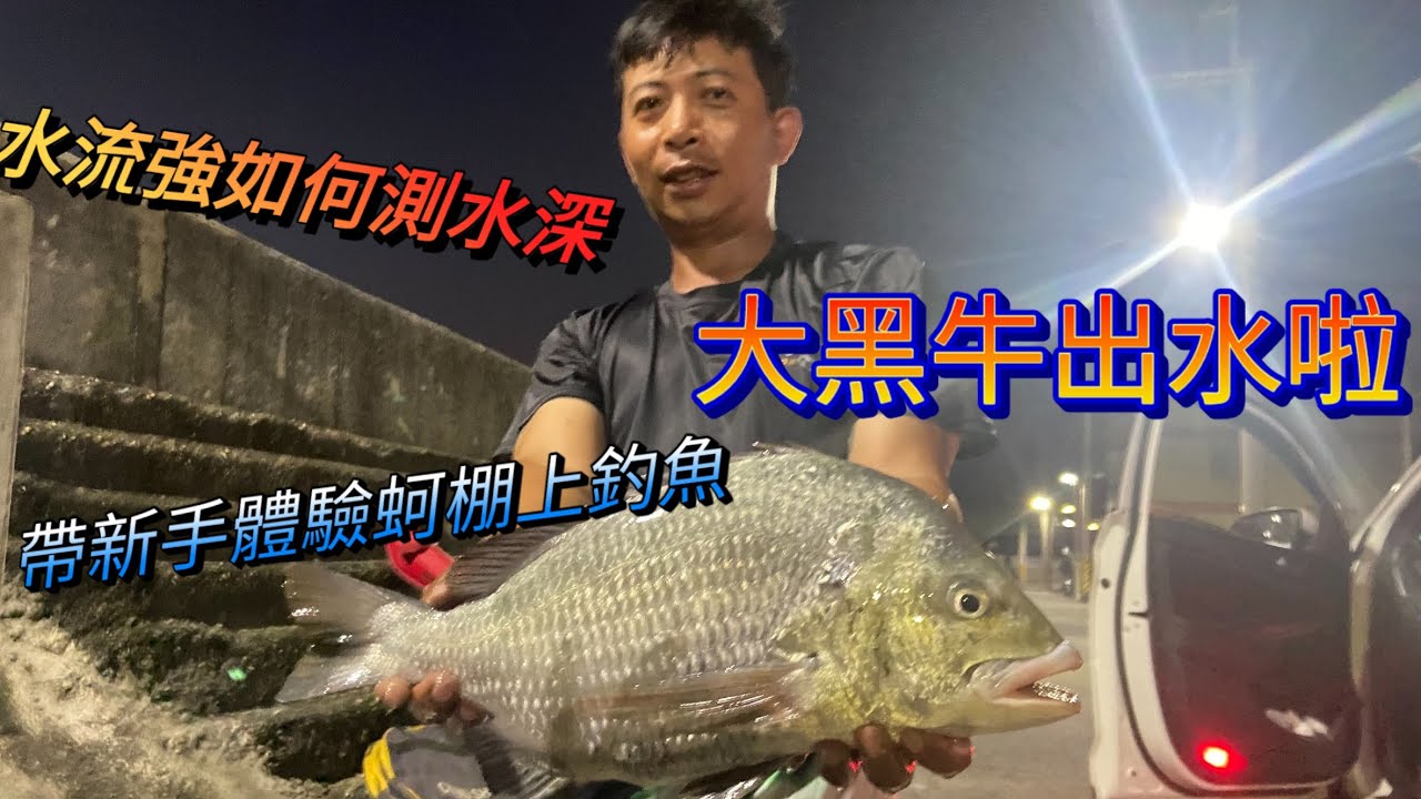 3斤大黑鯛出水，帶新手體驗教學釣蚵棚，意外釣上今年目前最大的魚