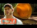 Bär verwüstet Brennplatz | Moonshiners | DMAX Deutschland