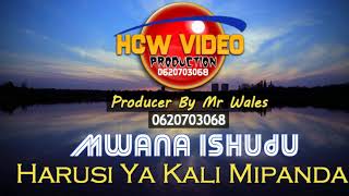 Mwana Ishudu= Harusi Ya Kali Mipanda=Audio=Vocal By Mr Wales 3