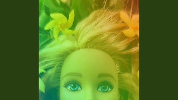 Dashing Backdrops for Comfortable Moments