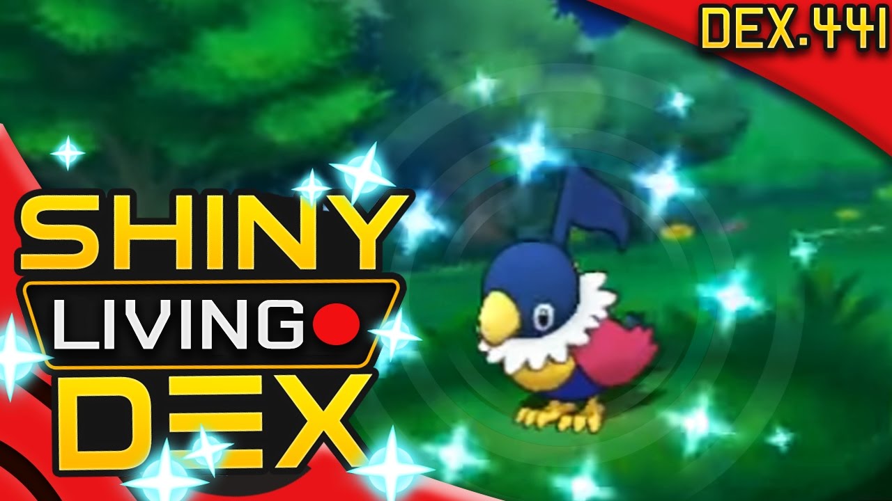 Shiny Chatot Reaction Live Quest For Shiny Living Dex 441 Pokemon Oras Youtube Shiny Chatot Reaction Live Quest For Shiny Living Dex 441 Pokemon Oras Youtube