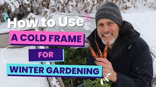 How to use a Cold Frame for Winter Gardening